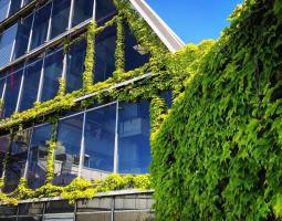 Université Lumière Lyon 2