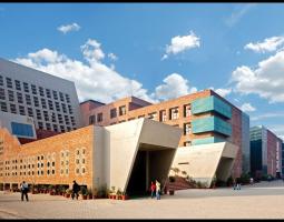 Lovely Professional University