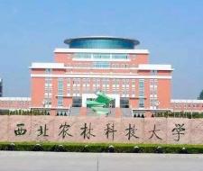 Northwest A&F University