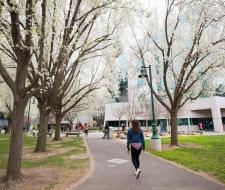 California State University-Sacramento