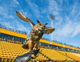 Kennesaw State University