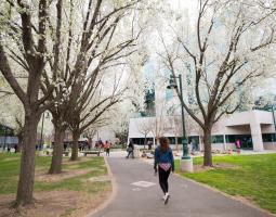 California State University-Sacramento