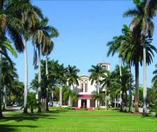 Barry University Summer Camp
