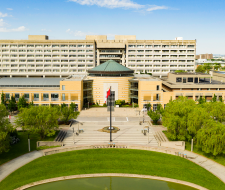 York University Summer Camp in Toronto