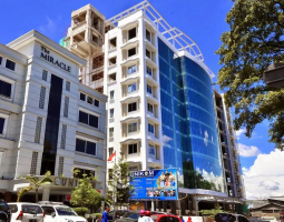 Indonesian Computer University