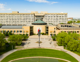York University Summer Camp in Toronto