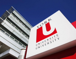 Embassy Summer York University Camp