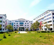 Natillus Global Language School