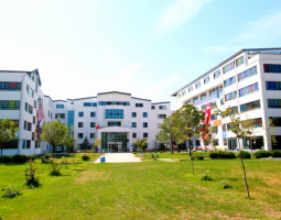 Natillus Global Language School