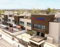 Thames British Online School in Madrid