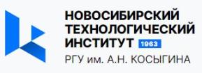 Logo Novosibirsk Institute of Technology, NTI (branch) of Kosygin Russian State University
