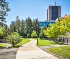 Carleton University