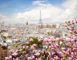 Bayswater Paris Language School