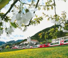 Swiss Boarding Schools Disentis & Zurich