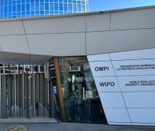 Swiss School of Business and Management Geneva (SSBM)