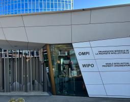 Swiss School of Business and Management Geneva (SSBM)