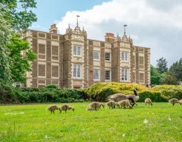 Rose Bruford College Summer Camp