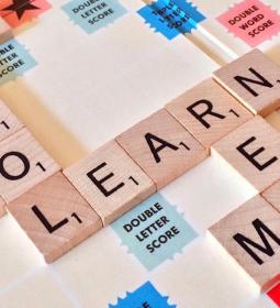 Experiment in New Zealand: How They Tried to Study in Schools Without Walls