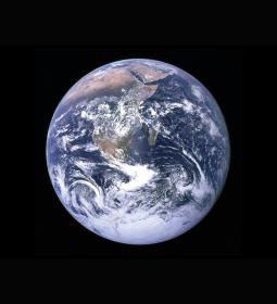 Top 10 Most Populous Cities in the World