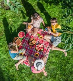 Summer holidays in different countries: how do schoolchildren in the UAE, USA, Switzerland and other countries rest?