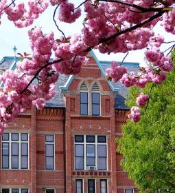 Dual Degree with Tiffin University, USA