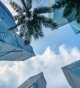 The main entertainment in Abu Dhabi: everyone will like it!