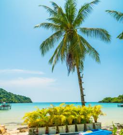 The most beautiful beaches in the world: take a swimsuit and go!