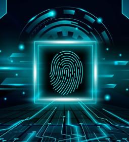 Biometric Residence Permit - BRP