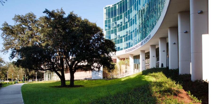 On the basis of the University of South Florida, unique summer programs are organized!