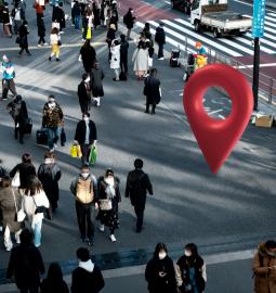 The largest cities in the world by population