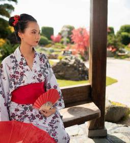 Pros and cons of living in Japan