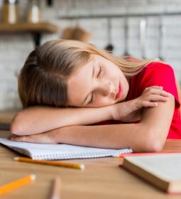 And yet... Is it possible to learn while sleeping?