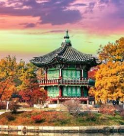 Traveling to Korea: Top Attractions and Things to Do