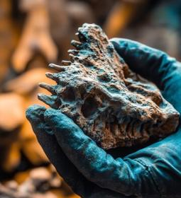 How Scientists Determine the Age of Things That Are Thousands and Millions of Years Old