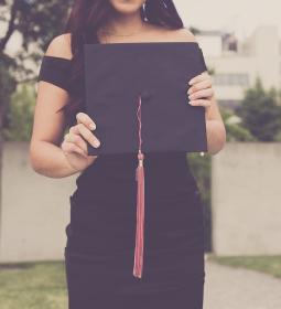 What is the difference between the different degrees? We distinguish between bachelor's, master's and MBA programs