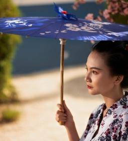 How the Japanese Live