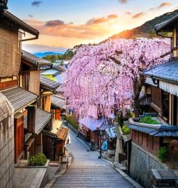 Differences between the two Japanese capitals: modern Tokyo and ancient Kyoto
