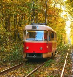 TOP-10 most amazing mean of transport for tourists