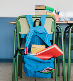 American School: Oddities That Can Surprise