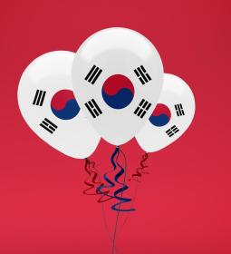 Flag of South Korea: History and Symbols