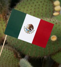 How can Mexico surprise tourists?