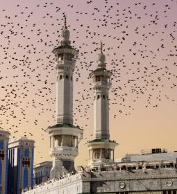 The most forbidden city in the world: how get to it?