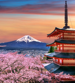 TOP-9 difficulties that await tourists in Japan