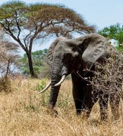 TOP most undemanding routes among tourists