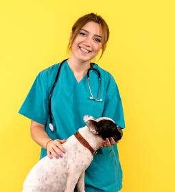 Best Veterinary Universities in Canada 2026 – QS World University Rankings