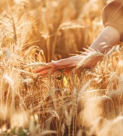 TOP-100 Best Universities in Agriculture 2026 QS Rankings