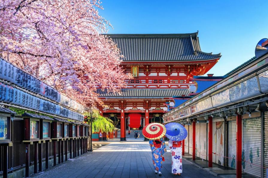 TOP-11 facts about Japan: truth or myths