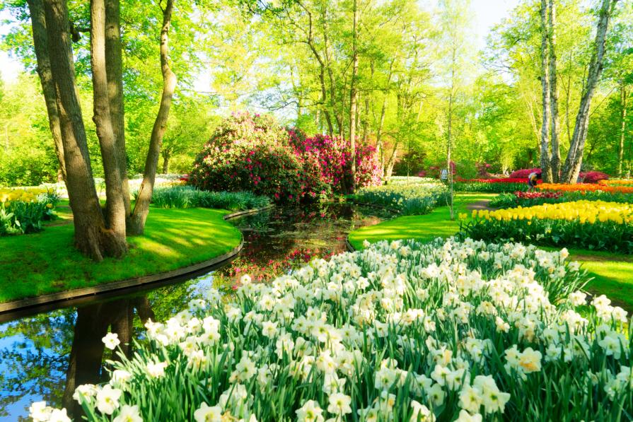 TOP most beautiful parks in the world