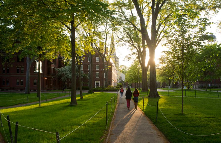 TOP-4 Best Language Schools in Cambridge 2026 Rankings