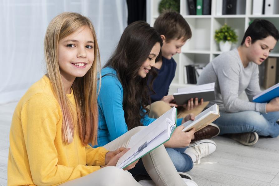 How do children study in school in Iceland?